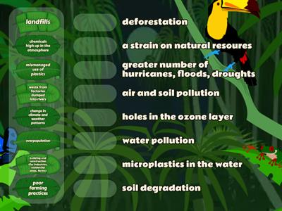 ENVIRONMENT Cause-Effect Match