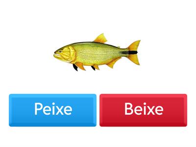 Adivinhação dos sons