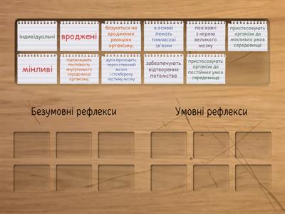 Рефлекси людини