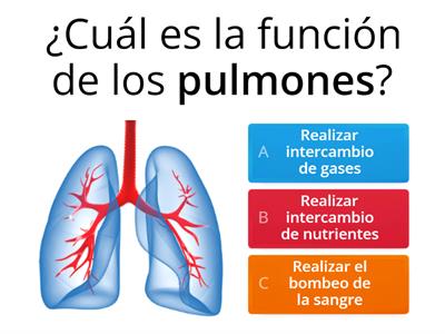 Repaso ciencias naturales ,segundo básico