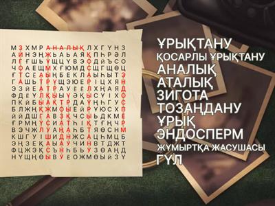 Шосткадағы жыныстық қатынас