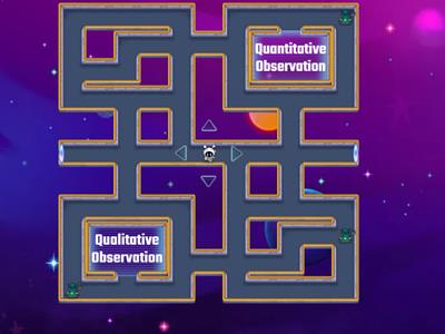  Observations & Inferences