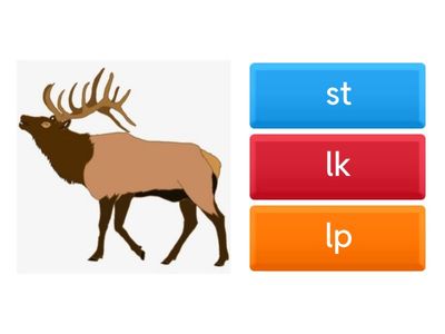 Auditory Discrimination 