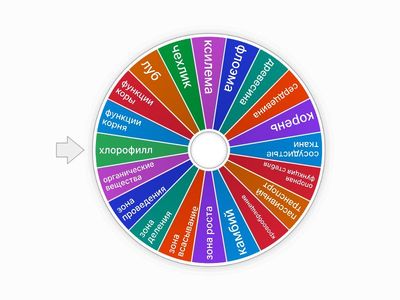 Закрепление параграфа