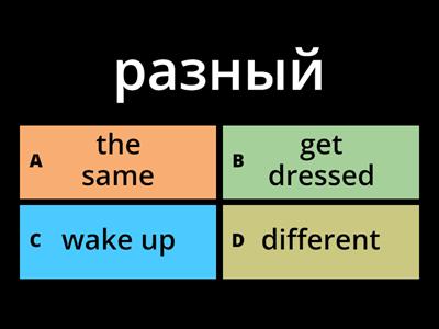 Daily Routine  - Quiz