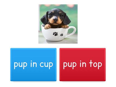 Baby animal CVC phrases