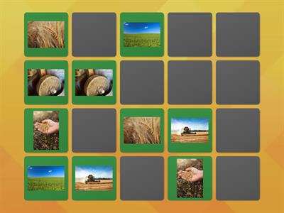 Memory Grano (4-5 anni)