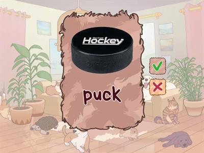 Карпюк, 6 кл, стор. 101