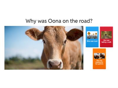 Oona the Cow Quiz
