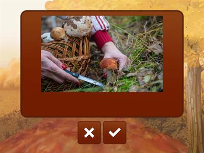 autumn activities eng hub