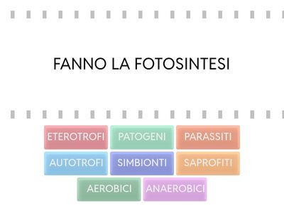 ORGANISMI UNICELLULARI: CARATTERISTICHE