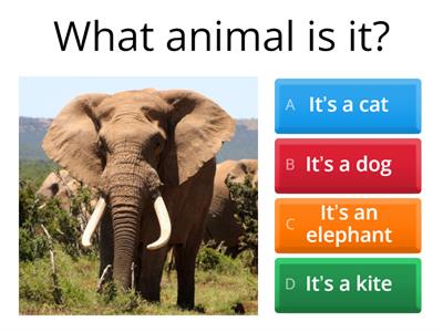  Get ready for Starters