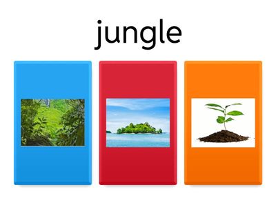 Vocabulary - Top Stars