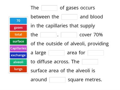 Gas Exchange Description