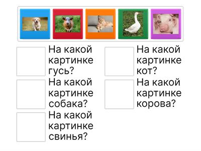 Мир животных 