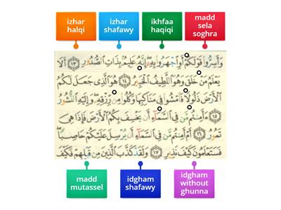 tajweed