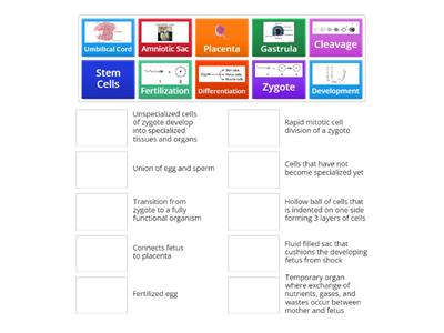 Fertilization and Development Terms