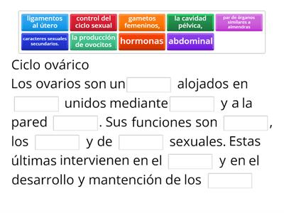 Ciclo Ovarico (pág 99)