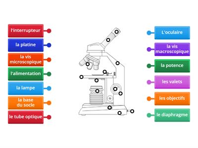 Les légendes du microscope