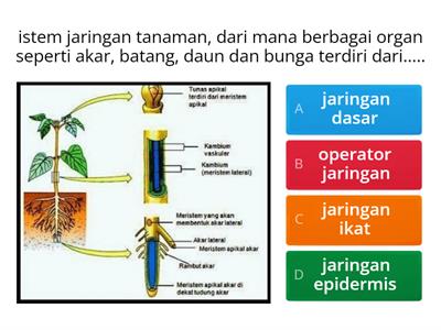 Soal biologi kelas VIII smp