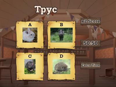 1 група. Жывёлы.