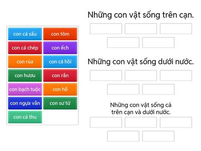 Tìm cùng một nhóm các vật thể