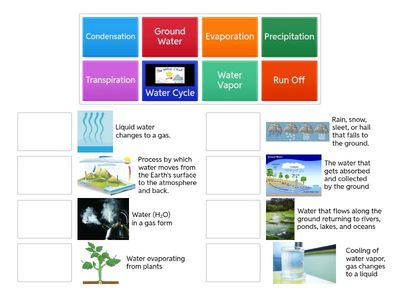 Water Cycle Match Up