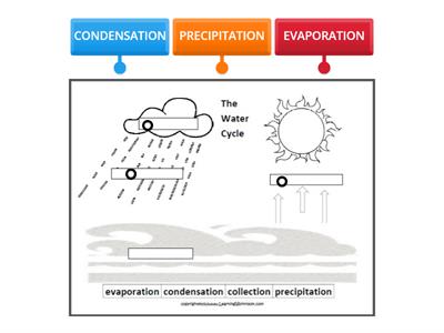 LABEL THE WATER CYCLE -GRADE 3