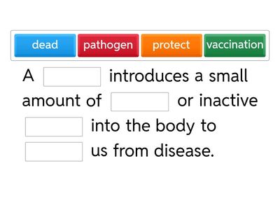 KS3 Vaccination