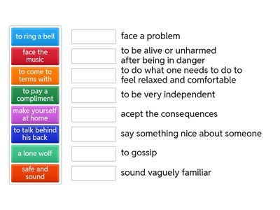 IDIOMS GOLD EXPERIENCE 