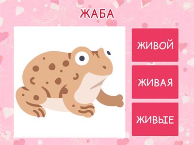 Какой? Какая? Какие? Звук Ж.