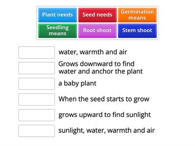 Plants and light pre-assessment