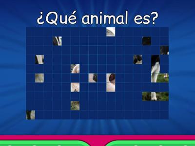 Animales