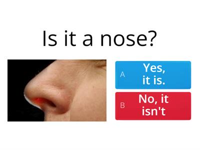 Шишкова 12 урок