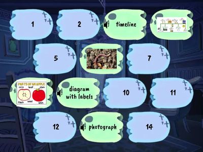 Nonfiction Text Features