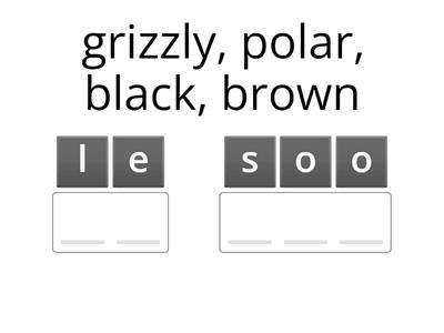 8th Grade Spanish Review