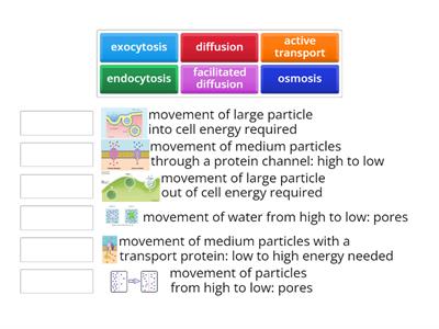 cell movement blitz