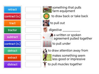 Root - tract definition