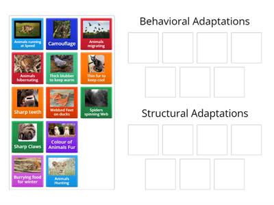 Group Sort Animal Adaptation Sort