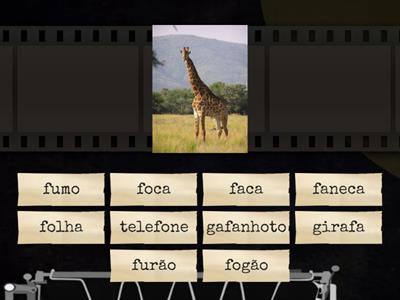 28 palavras: palavras até girafa