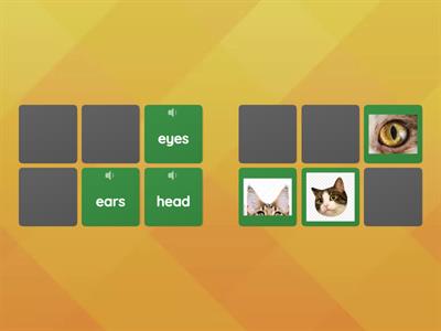 Body parts Young learners