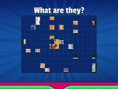 Speakout A2 Image quiz