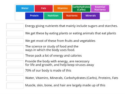 Nutrition Vocab