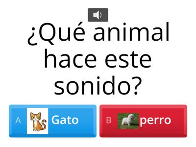 ¿Que animales son?