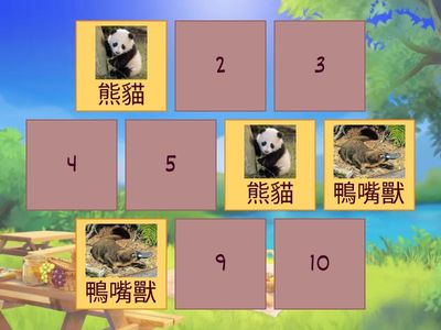 動物找找樂