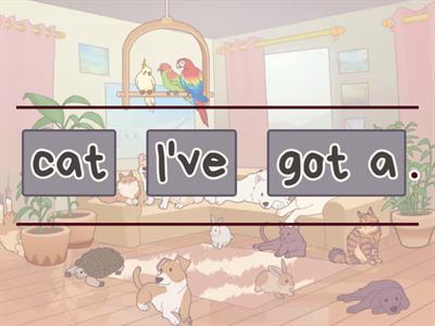 I've got / I haven't got