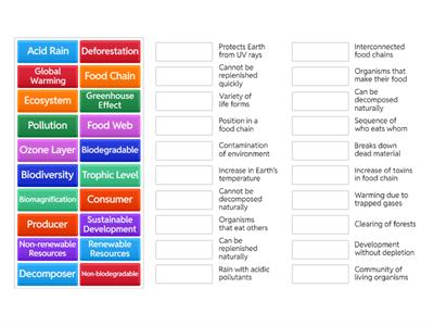 Our Environment - Class 10