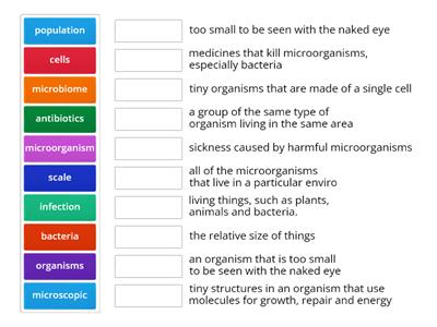 Amplify Microbiome Vocabulary