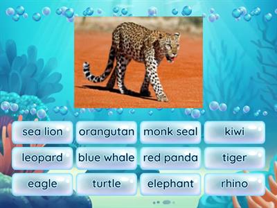 Wild animals 2 (6th grade)