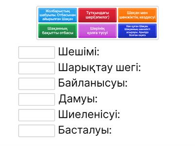 Порнодағы ыстық сәбилер